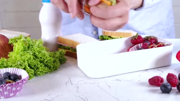 学校に戻る 新鮮な果物 ベリー ヨーグルト 健康的なサンドイッチ 野菜スナックと子供の学校のランチボックスを作る母親の女性の手 白いキッチン大理石のテーブルコピー — ストック動画