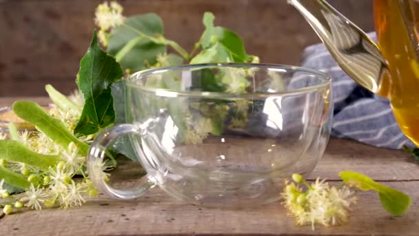 Herbata Kwiatów Lipy Zielona Herbata Lipowa Szklanym Czajniku Filiżance Herbaty — Wideo stockowe