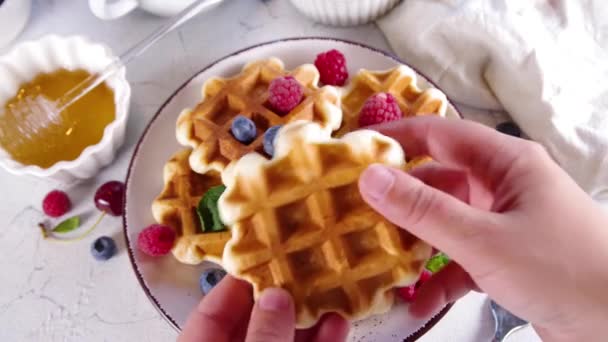 Sweet Waffles Berry Homemade Summer Breakfast Belgian Waffles Raspberries Blueberries — Vídeos de Stock
