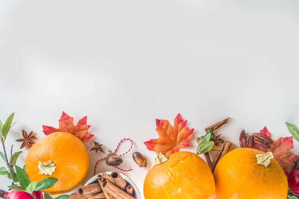 Herbstkomposition Grußkarte Zum Erntedankfest Kürbis Kochen Hintergrund Mit Herbst Festlichen — Stockfoto