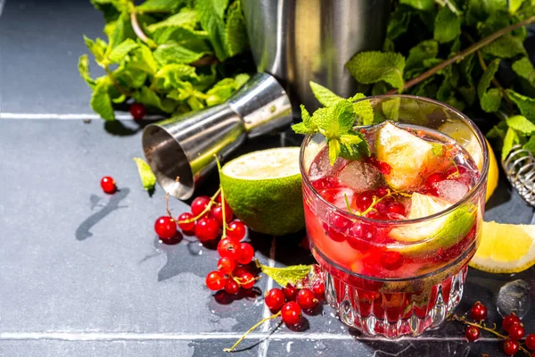 Red Currant Lemonade Mojito Cocktail Iced Fresh Summer Cocktail Currant — Stockfoto