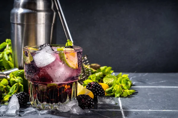 Blackberry Lemonade Mojito Lime Mint Iced Fresh Summer Cocktail Whole — 스톡 사진