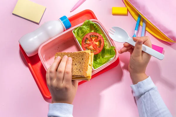Healthy School Meal Back School Concept Children Packed Lunch Box — Stock Fotó