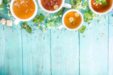 Farklı bitkisel çay seti. Çeşitli fincanlar, organik bitki çayı, papatya çayı, hindiba, nane şekeri, lavanta. Organik doğal içecek konsepti. Sağlık ve dokunulmazlık içecekleri