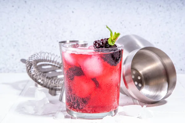 Refreshing Summer Infused Fruit Water Iced Lemonade Blackberry Ice Cubes — Photo