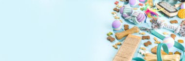 Evcil hayvan mamaları, aksesuarlar, kedi, köpek, evcil hayvan mamaları, oyuncaklar, ikramlar, çatal bıçaklar. Hayvanat bahçesi ve hayvan mağazası, çevrimiçi alışveriş, hayvan bakımı konsepti, yassı pankart üst görünüm