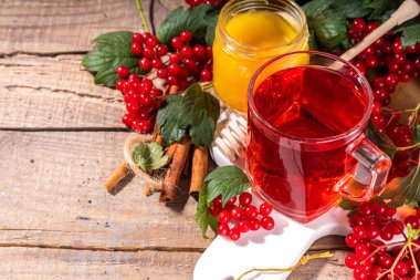 Organik bitkisel çay, taze viburnum üzümlü sıcak sonbahar içeceği. Ballı ve tarçınlı Viburnum çayı
