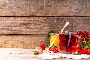 Organik bitkisel çay, taze viburnum üzümlü sıcak sonbahar içeceği. Ballı ve tarçınlı Viburnum çayı