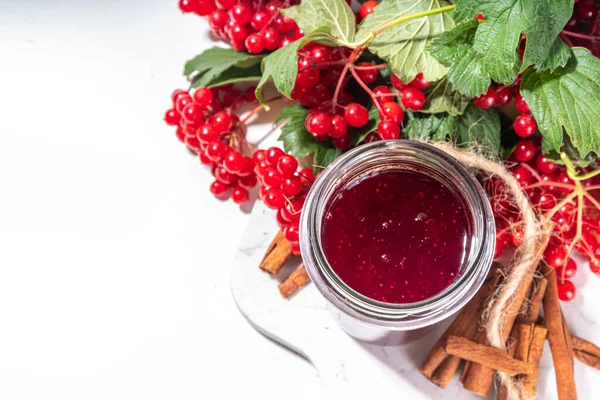 Autumn jam recipe, conservation and harvest season. Homemade red jam from organic viburnum berries, with fresh berries on twigs and cinnamon