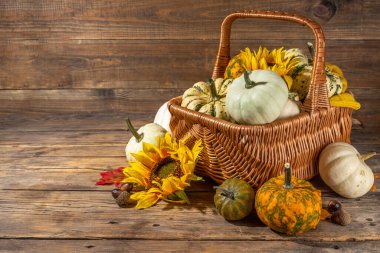 Ahşap masa arkasında sonbahar dekoratif balkabakları. Sonbahar Şükran Günü Cadılar Bayramı tebrik kartı geçmişi, hasat konsepti. Üst görünüm, alanı kopyala