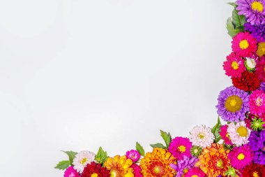 Sonbahar çiçekleri düz zemin. Renkli kasımpatı buketi, şakayıklar (turuncu, mor, sarı, kırmızı) beyaz arka planda çiçekler, tebrik kartı üst görünümü için çerçeve sınırı metin görünümü için kopya alanı