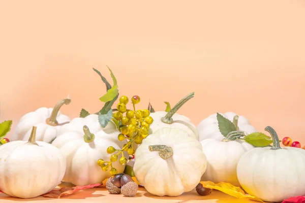 Herbst Dekorative Kürbisse Mit Herbstblättern Auf Beigem Hintergrund Herbst Thanksgiving — Stockfoto