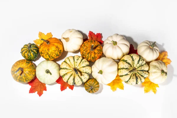 Herbst Dekorative Kürbisse Mit Herbstblättern Auf Weißem Tischhintergrund Herbst Thanksgiving — Stockfoto