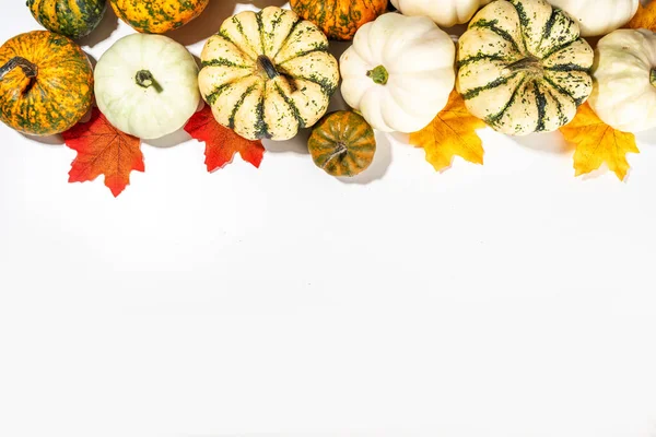 Abóboras Decorativas Outono Com Folhas Queda Fundo Mesa Branca Dia — Fotografia de Stock