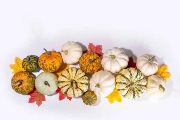 Herbst Dekorative Kürbisse Mit Herbstblättern Auf Weißem Tischhintergrund Herbst Thanksgiving — Stockfoto