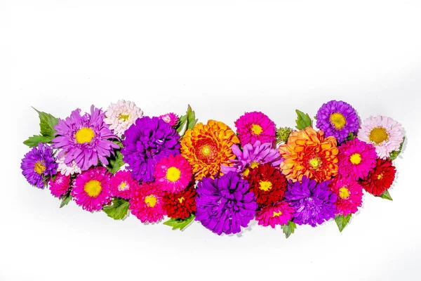 Autumn flowers flatlay background. Bouquet of colorful chrysanthemum, peonies  (orange, purple, yellow, red) flowers on white background, frame border for greeting card top view copy space for text