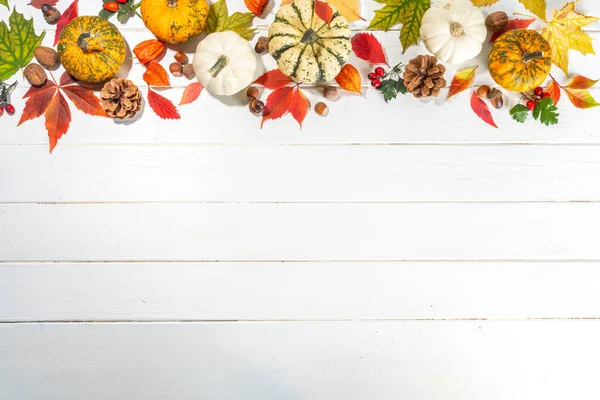 가을에 노란색 오렌지색 견과류 도토리 가을에는 산딸기 널빤지 위에는 원추형 — 스톡 사진