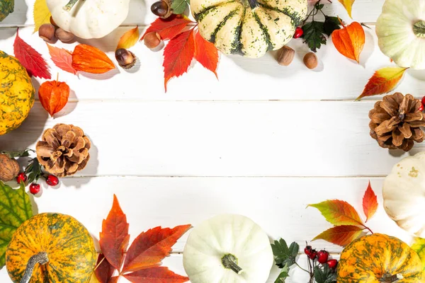 Kürbisse Mit Herbstlichem Herbst Rot Gelb Orange Blätter Nüsse Eicheln — Stockfoto