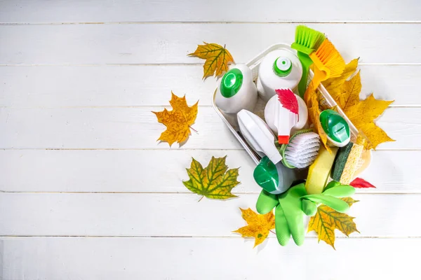 Sonbahar Temizliği Sonbahar Temizlik Kampanyası Için Reklam Afişi Çeşitli Deterjanlar — Stok fotoğraf