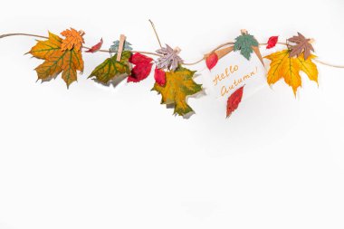 Yaratıcı sonbahar çerçeve güz yapraklı sınır kompozisyonu. Kırmızı ve sarı sonbahar yaprakları çamaşır ipine asılı, beyaz arkaplan kopyalama alanı metin için
