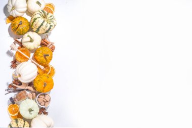 Sonbahar mevsimi balkabağı baharat pişirme ve içecekleri içme. Çeşitli renkli balkabakları, fındıklar, beyaz arka planda mevsimlik baharatlar. Balkabağı turtası, latte, sonbahar Şükran Günü için kurabiyeler.