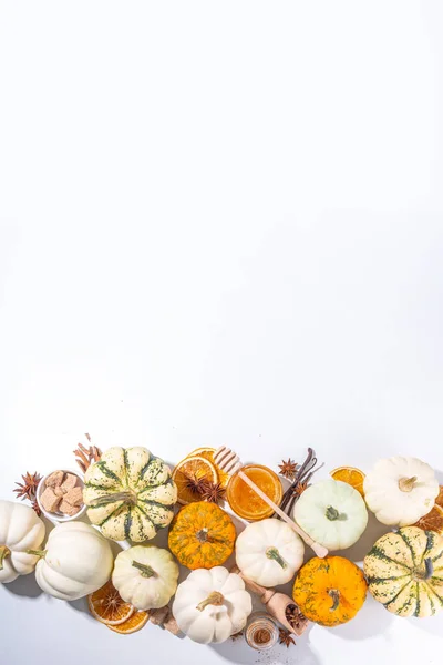 Herbst Herbst Kürbis Gewürzbacken Und Trinken Zutaten Verschiedene Bunte Kürbisse — Stockfoto