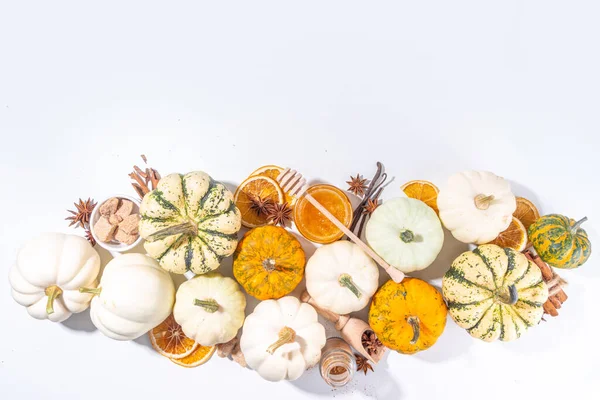 Herbst Herbst Kürbis Gewürzbacken Und Trinken Zutaten Verschiedene Bunte Kürbisse — Stockfoto