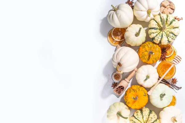 Herbst Herbst Kürbis Gewürzbacken Und Trinken Zutaten Verschiedene Bunte Kürbisse — Stockfoto