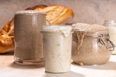 Sağlıklı yaşam tarzı, glütensiz mayalama diyeti. Ev yapımı ekşi ekmek. Aktif köpüklü çavdar, buğday, yulaf ekmeği farklı un ve fermantasyon yöntemleriyle, cam kavanozlarda, ham hamur ve fırınlanmış ekmekle.