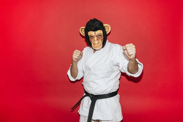 Чоловік Мавпою Практикує Бойові Мистецтва — стокове фото