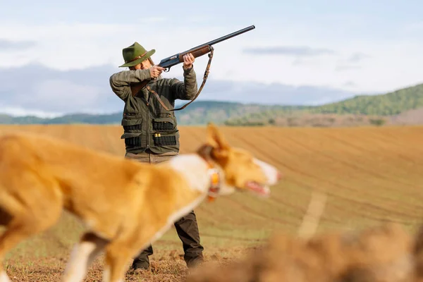 Hunter Woman Shotgun Hunting Field — Foto Stock