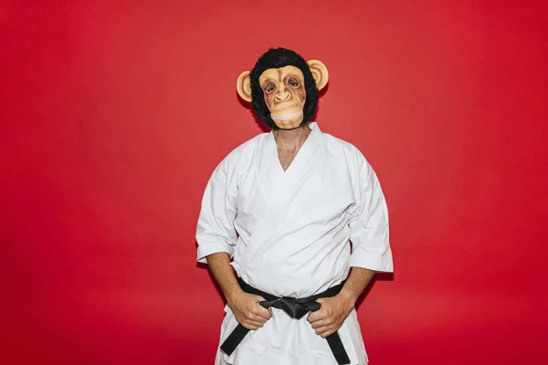 戴猴面具的人练武 — 图库照片