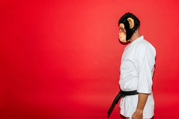 Hombre Con Máscara Mono Practicando Artes Marciales —  Fotos de Stock