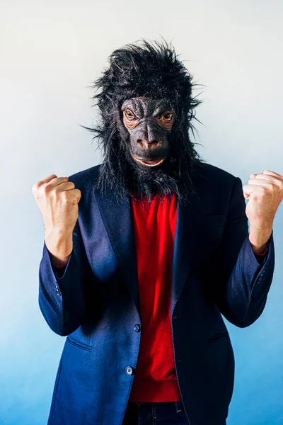Hombre Eufórico Traje Con Máscara Gorila —  Fotos de Stock