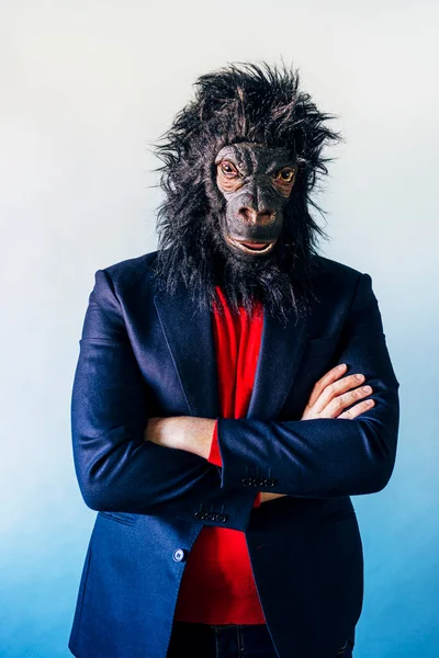 Hombre Con Traje Máscara Gorila —  Fotos de Stock