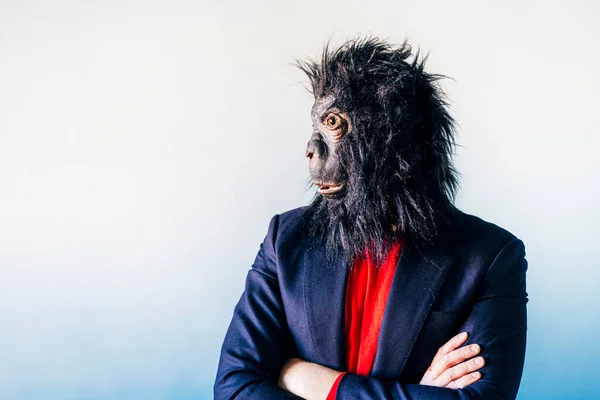 Férfi Öltönyben Gorilla Maszkban — Stock Fotó