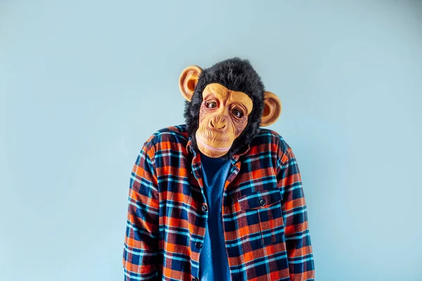 Чоловік Мавпці Жестикулює — стокове фото