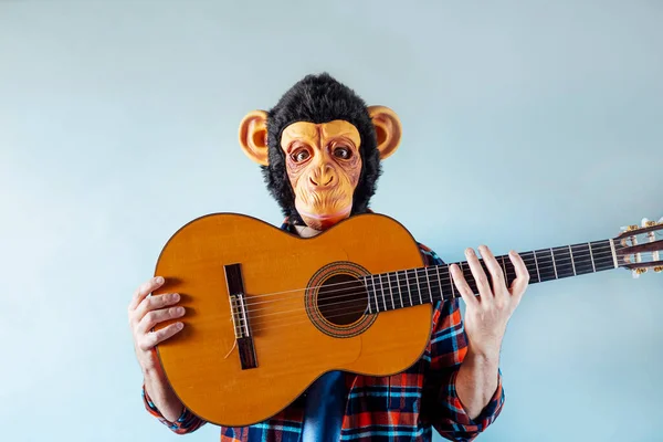 Μαϊμού Ισπανική Κιθάρα — Φωτογραφία Αρχείου