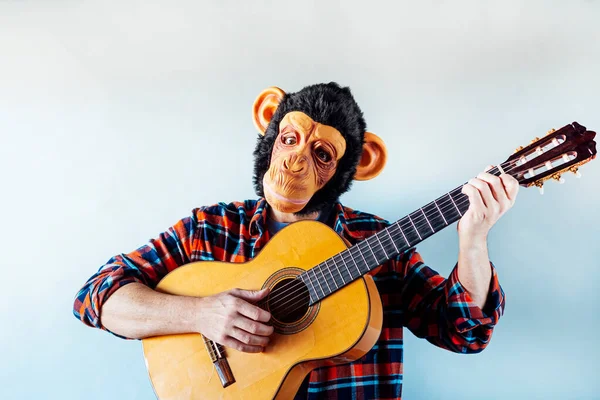 Macaco Com Uma Guitarra Espanhola — Fotografia de Stock