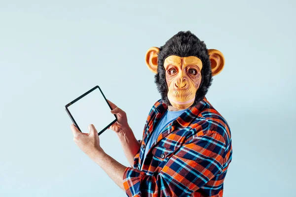 Чоловік Мавпці Допомогою Планшета — стокове фото