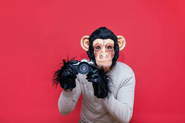 Mann Mit Affenmaske Mit Analogkamera — Stockfoto