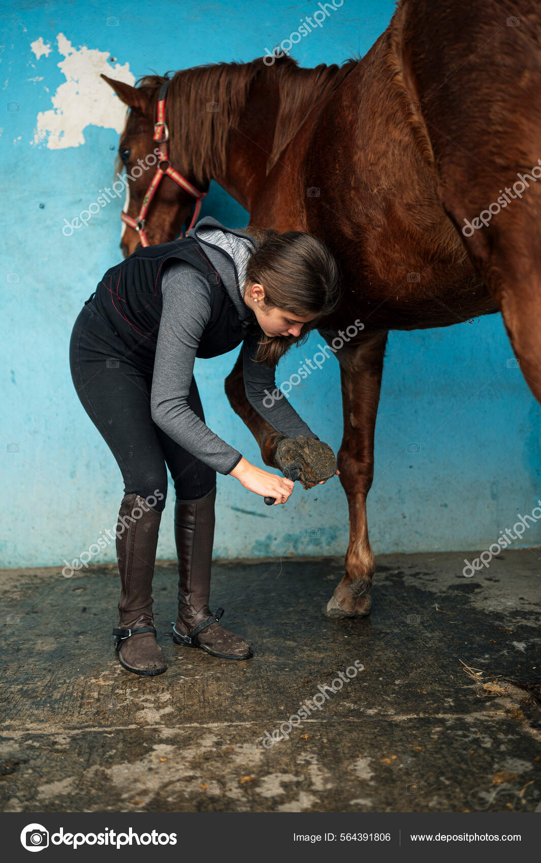 Vetores de Homem Em Um Cavalo Pulando Uma Cerca e mais imagens de Corrida  de Cavalos - Evento Equestre - Corrida de Cavalos - Evento Equestre, Fora  De Moda - Estilo, Estilo retrô - iStock