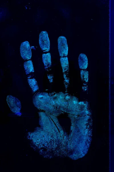 指紋はフォレンジックライトで検査され 化学試薬で処理された — ストック写真