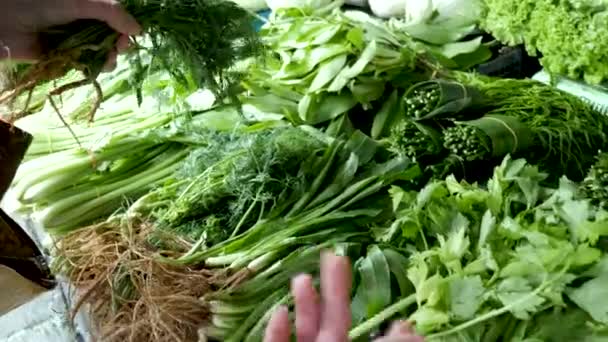 Young adult customer woman chooses parsley leaves for buy — Stock Video