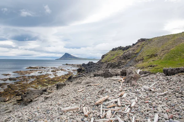 Legname Alla Deriva Sulla Costa Trekyllisvik Strandir Nella Campagna Islandese — Foto Stock