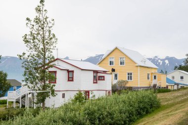Kuzey İzlanda Eyjafjordur 'da Hrisey Köyü