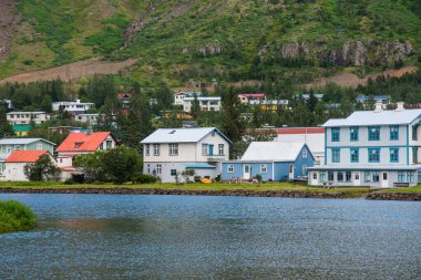 Doğu İzlanda 'da bir yaz günü Syedisfjordur kasabası
