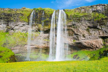 Seljalandsfoss 'un güzel şelalesi Güney İzlanda' da güneşli bir yaz gününde