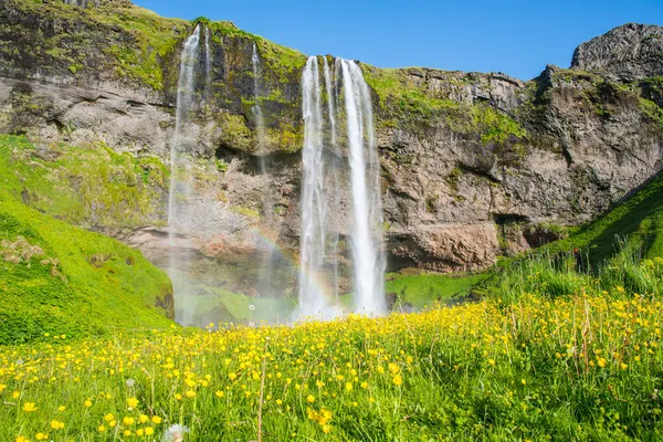 Bela Cachoeira Seljalandsfoss Sul Islândia Dia Ensolarado Verão — Fotografia de Stock