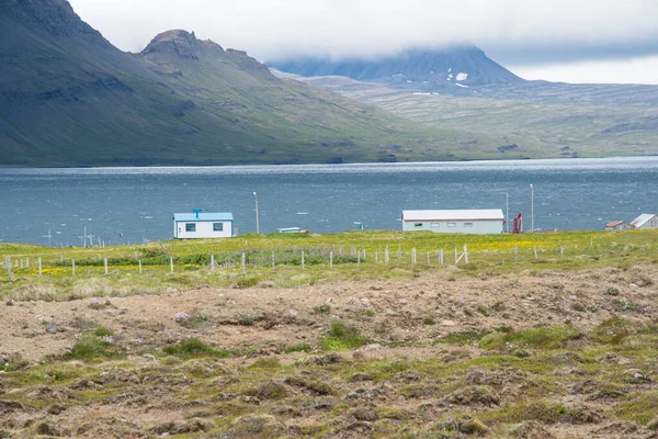 Byn Gjogur Reykjarfjordur Strandir Island — Stockfoto